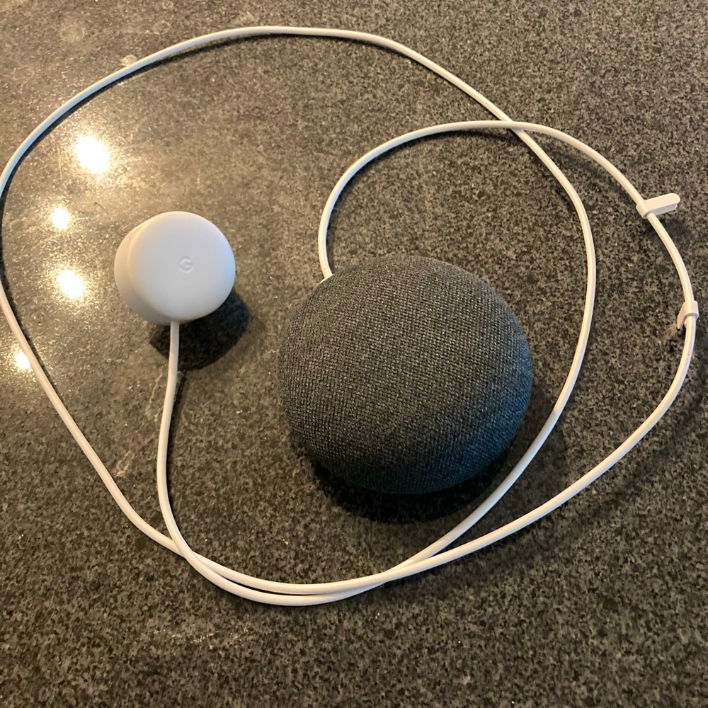 Google home mini